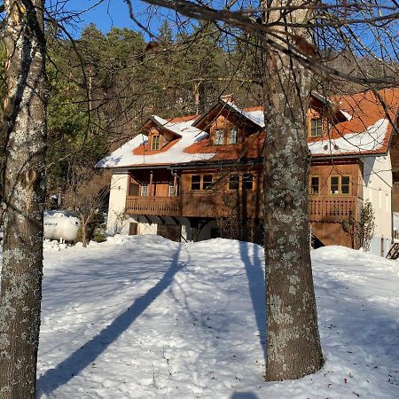 Villa House Alpine Rose à Mojstrana Extérieur photo