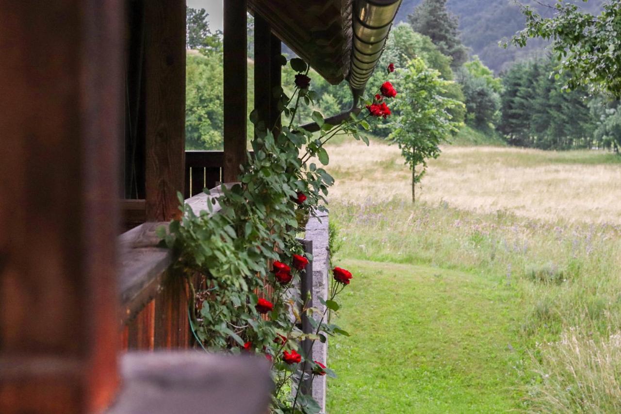 Villa House Alpine Rose à Mojstrana Extérieur photo