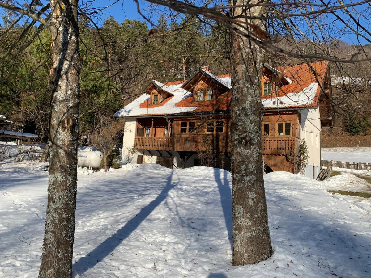 Villa House Alpine Rose à Mojstrana Extérieur photo